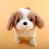 A lively and mischievous electric plush puppy accompanies you, bringing joy and playfulness. The recording saves the mischievous words. The song is lively, mischievous and cute details Picture